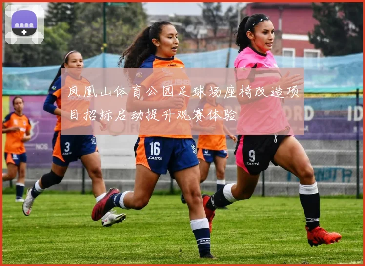 凤凰山体育公园足球场座椅改造项目招标启动提升观赛体验