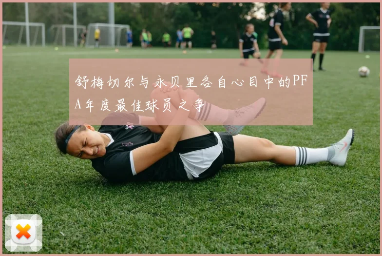 舒梅切尔与永贝里各自心目中的PFA年度最佳球员之争